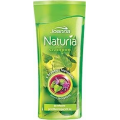 JOANNA NATURIA - SZAMPON BRZOZA I ŁOPIAN DO WŁ. PRZETŁUSZCZAJĄCYCH SIĘ 300 ML