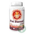 FAT BURNER PLUS 120 KAPSUŁEK OLIMP