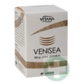 VENISEA - SKRZYP POLNY 60 TABL.