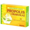PASTYLKI PROPOLISOWE "PROPOLIS I PRAWOŚLAZ"