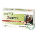 SKRZYP + WITAMINY 45 KAPSUŁEK