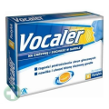 VOCALER 8 PASTYLEK DO SSANIA
