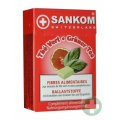 SANKOM - BŁONNIK Z EKSTRAKTEM ZIELONEJ HERBATY 11 KOSTEK
