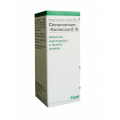 HEEL CINNAMOMUM-HOMACCORD N - KROPLE 30 ML