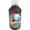 AMINOSTAR ODCHUDZANIE - L-CARNITINE+VITAMINA B6 SMAK POMARAŃCZOWY 250  ML
