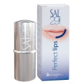 SAL 29 PERFECT LIPS - SZMINKA MODELUJĄCA KSZTAŁT UST
