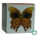 RENEWAL KREM  -  ZIOŁA DLA ZACHOWANIA MŁODOŚCI SKÓRY 50 ML