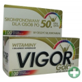 VIGOR GOLD PO 50 ROKU ŻYCIA 100 TABLETEK