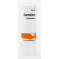 DR HAUSCHKA SZTYFT PIELĘGNACYJNY DO UST 4,9 G