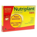 NUTRIPLANT FORTE 10 KAPSUŁEK