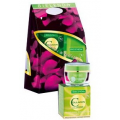 BIELENDA COLLAGEN + KWAS HIALURONOWY - ZESTAW ŚWIĄTECZNY W SUPER NISKIEJ CENIE!