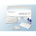 INFLUENZA A/B TEST DIAGNOSTYCZNY, 10 SZTUK
