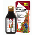 Floradix, Tonik bezalkoholowy, Żelazo i witaminy, 250 ml