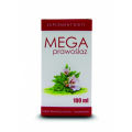 MEGA PRAWOŚLAZ  - SYROP PRAWOŚLAZOWO-TYMIANKOWY 100 ML