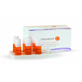GENERAL TOPICS  SYNCHROVIT C   6 AMPUŁEK X 5 ML