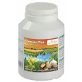 PARASINE PLUS 100  KAPSUŁEK