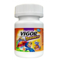 VIGOR ODPORNISIE 30 ŻELKÓW