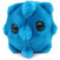 MIKROBY - MASKOTKA KATAR (RHINOVIRUS)