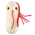 MIKROBY - MASKOTKA SALMONELLA (SALMONELLA TYPHIMURIUM)