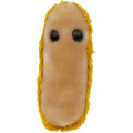 MIKROBY - MASKOTKA CZERWONKA (SHIGELLA)