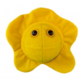 MIKROBY - MASKOTKA OPRYSZCZKA (HERPES SIMPLEX VIRUS 2)