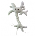 MIKROBY - MASKOTKA KOMÓRKA MÓZGOWA (NEURON)
