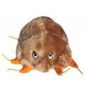 MIKROBY - MASKOTKA ŚWIERZB (SARCOPTES SCABEI)