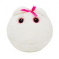 MIKROBY - MASKOTKA KOMÓRKA JAJOWA (OVUM)