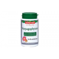 SUPER DIET HARPAGOPHYTUM  90 KAPSUŁEK