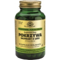 SOLGAR POKRZYWA 60 KAPSUŁEK