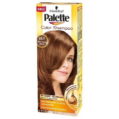 Palette Color Shampoo Szampon koloryzujący Orzechowy Blond nr 317