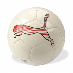 Piłka Nożna Puma Polska Speed Cat