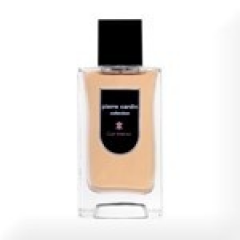 Pierre Cardin Collection Cuir Intense Men Woda toaletowa 75ml