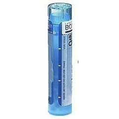 BOIRON  gran.Calcarea jodata 4g    9 CH*