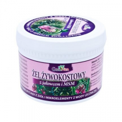 ŻYWOKOSTOWY ŻEL 200 ML