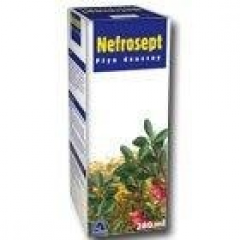 NEFROSEPT PŁYN 280 ML