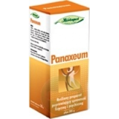 PANAXEUM  PŁYN 285 G = 250 ML
