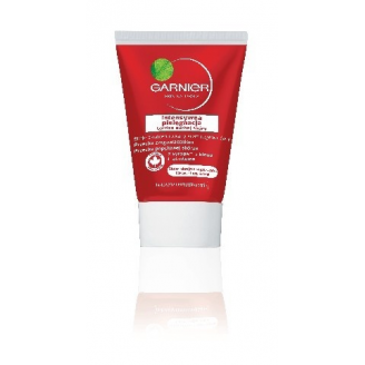 Garnier, Intensywna pielęgnacja, Krem, Suche strefy, 100 ml