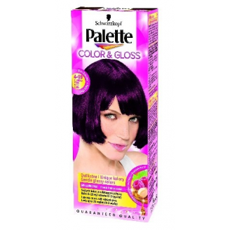 Palette Color&Gloss Farba do włosów Purpurowa Wiśnia nr 4-99