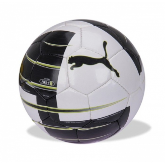 Piłka nożna Puma halowa PWR-CAT 5.0 biała
