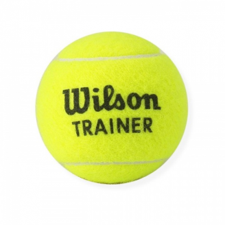 Piłki do tenisa ziemnego WILSON Trainer