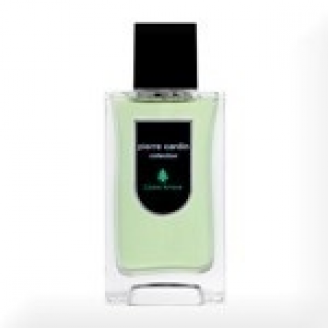 Pierre Cardin Collection Cedre Ambre Woda toaletowa 75ml