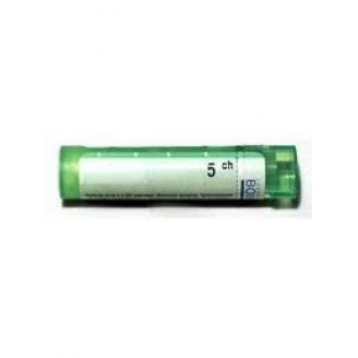 BOIRON  gran.Hepar Sulfur  4g      5 CH*