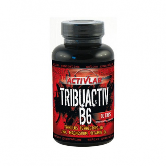 Activita Tribuactiv B6, kaps., 90 szt