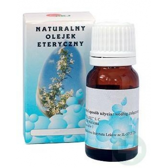 OLEJEK ETERYCZNY CYPRYSOWY 10 ML