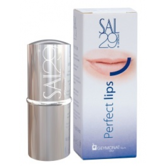 SAL 29 PERFECT LIPS - SZMINKA MODELUJĄCA KSZTAŁT UST
