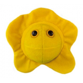 MIKROBY - MASKOTKA OPRYSZCZKA (HERPES SIMPLEX VIRUS 2)