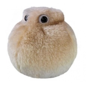 Mikroby, Maskotka, Komórka tłuszczowa (Adipocyte)