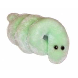 MIKROBY - MASKOTKA BORELIOZA (BORRELIA BURGDORFERI)