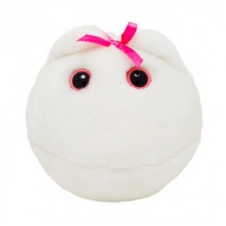 MIKROBY - MASKOTKA KOMÓRKA JAJOWA (OVUM)